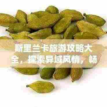 斯里兰卡旅游攻略大全,探索异域风情,畅游魅力国度!