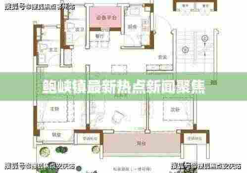 鲍峡镇最新热点新闻聚焦