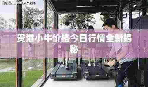 贵港小牛价格今日行情全新揭秘
