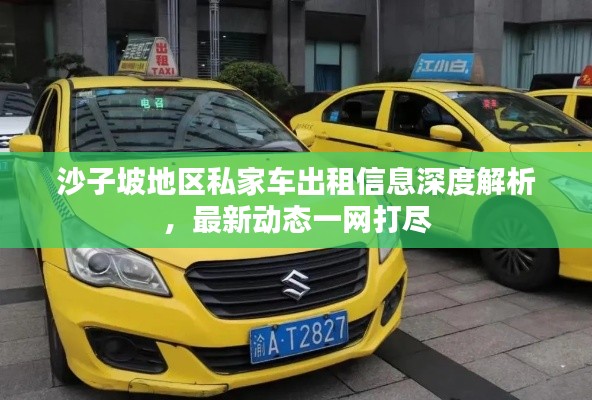 沙子坡地区私家车出租信息深度解析,最新动态一网打尽