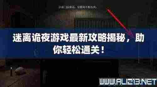 迷离诡夜游戏最新攻略揭秘,助你轻松通关!