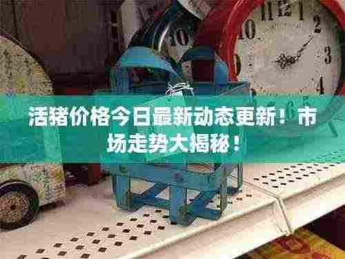 活猪价格今日最新动态更新!市场走势大揭秘!