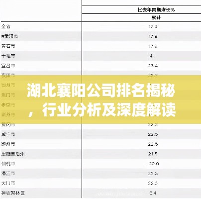湖北襄阳公司排名揭秘,行业分析及深度解读