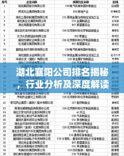 湖北襄阳公司排名揭秘,行业分析及深度解读