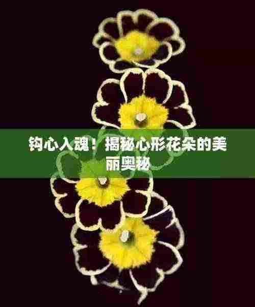钩心入魂!揭秘心形花朵的美丽奥秘