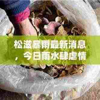 松滋暴雨最新消息,今日雨水肆虐情况揭秘
