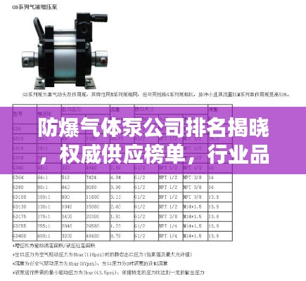 防爆气体泵公司排名揭晓,权威供应榜单,行业品质之选
