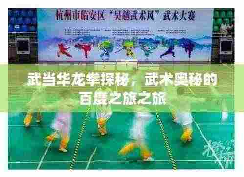 武当华龙拳探秘,武术奥秘的百度之旅之旅