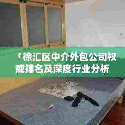 「徐汇区中介外包公司权威排名及深度行业分析」