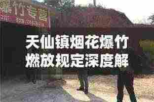 天仙镇烟花爆竹燃放规定深度解析
