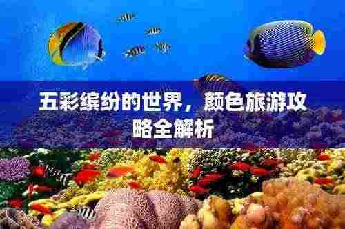 淡泊以明志，宁静以致远 第4页