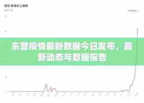 东营疫情最新数据今日发布,最新动态与数据报告