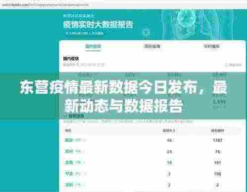 东营疫情最新数据今日发布,最新动态与数据报告