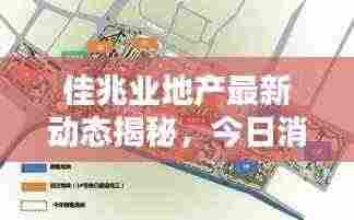 佳兆业地产最新动态揭秘,今日消息一网打尽