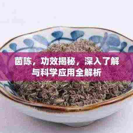 茵陈,功效揭秘,深入了解与科学应用全解析