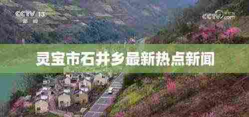 灵宝市石井乡最新热点新闻