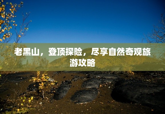 空谷幽兰 第4页