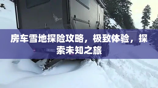 房车雪地探险攻略，极致体验，探索未知之旅