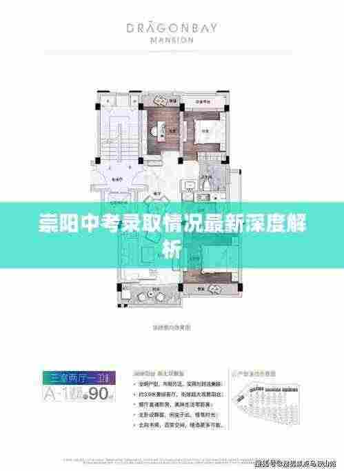 崇阳中考录取情况最新深度解析