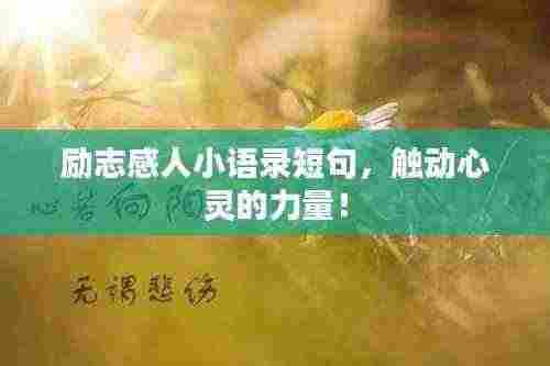 励志感人小语录短句,触动心灵的力量!
