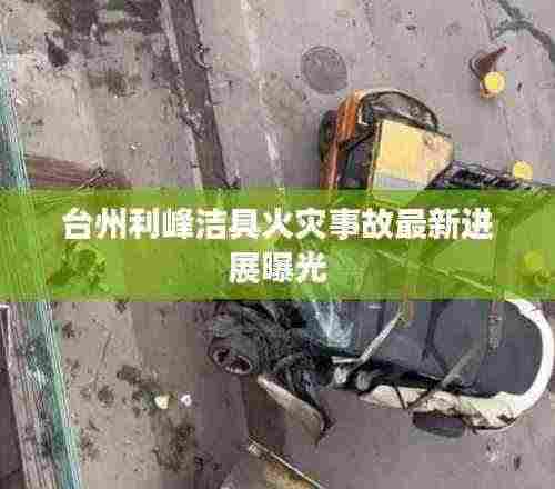 台州利峰洁具火灾事故最新进展曝光