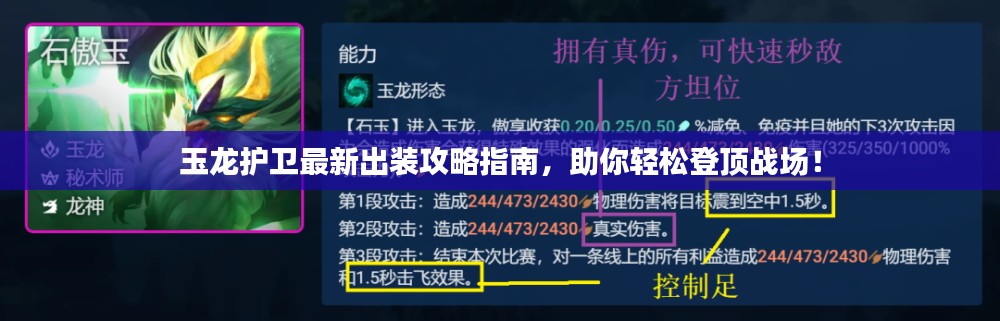 玉龙护卫最新出装攻略指南,助你轻松登顶战场!