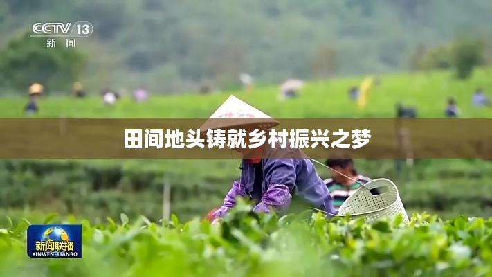 田间地头铸就乡村振兴之梦