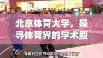 北京体育大学,探寻体育界的学术殿堂,百度权威收录!