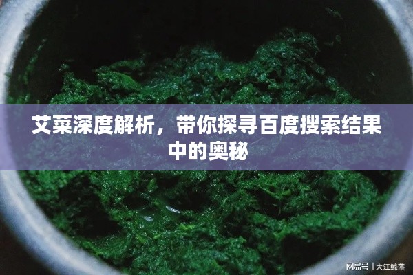 艾菜深度解析，带你探寻百度搜索结果中的奥秘