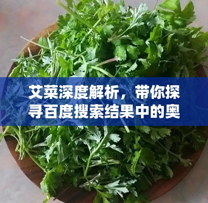 艾菜深度解析,带你探寻百度搜索结果中的奥秘