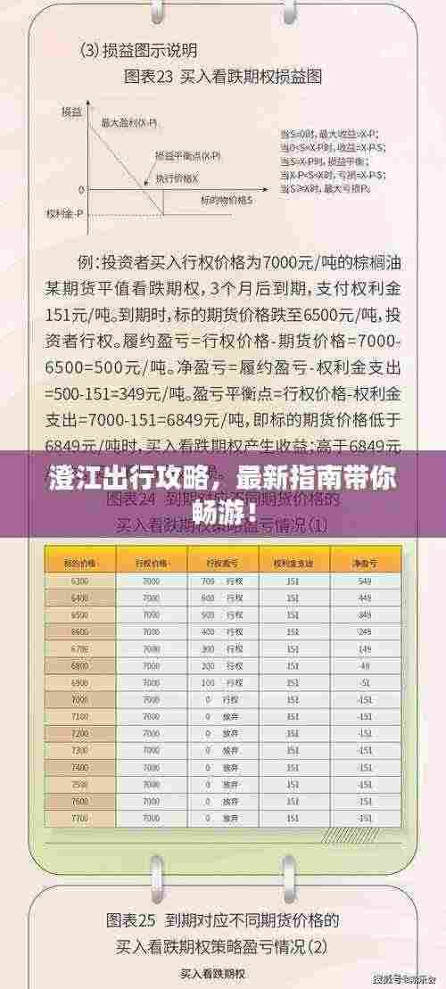 澄江出行攻略，最新指南带你畅游！