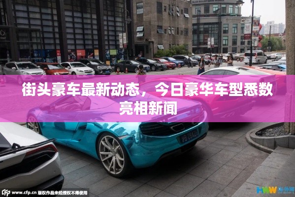 街头豪车最新动态,今日豪华车型悉数亮相新闻