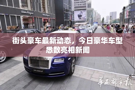 街头豪车最新动态,今日豪华车型悉数亮相新闻
