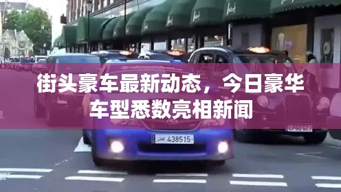 街头豪车最新动态,今日豪华车型悉数亮相新闻