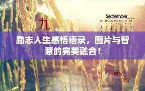 励志人生感悟语录，图片与智慧的完美融合！