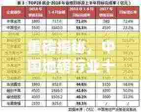 重磅揭秘,中国地磅行业十大领先厂家排名榜单!