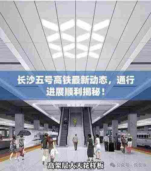 长沙五号高铁最新动态,通行进展顺利揭秘!