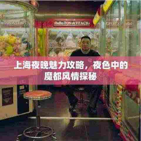 上海夜晚魅力攻略,夜色中的魔都风情探秘
