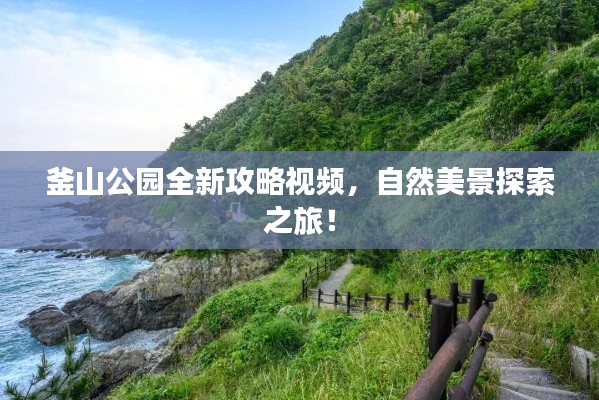 釜山公园全新攻略视频,自然美景探索之旅!