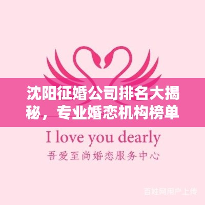 沈阳征婚公司排名大揭秘,专业婚恋机构榜单来袭!