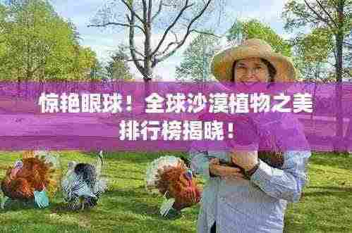 惊艳眼球！全球沙漠植物之美排行榜揭晓！