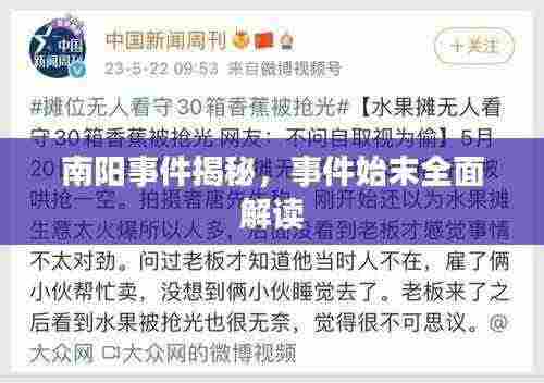 南阳事件揭秘,事件始末全面解读