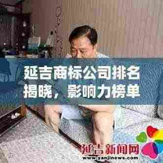 延吉商标公司排名揭晓,影响力榜单上的佼佼者