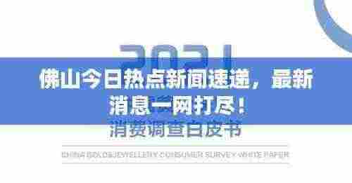 佛山今日热点新闻速递,最新消息一网打尽!