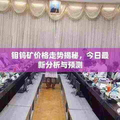 钼钨矿价格走势揭秘，今日最新分析与预测