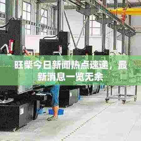 旺柴今日新闻热点速递,最新消息一览无余