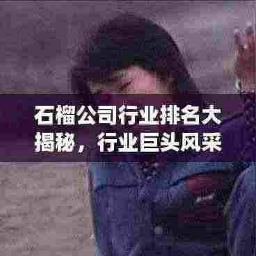 石榴公司行业排名大揭秘,行业巨头风采与未来趋势展望
