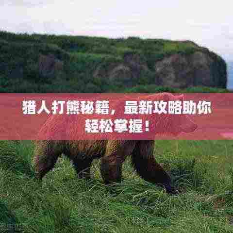 猎人打熊秘籍,最新攻略助你轻松掌握!