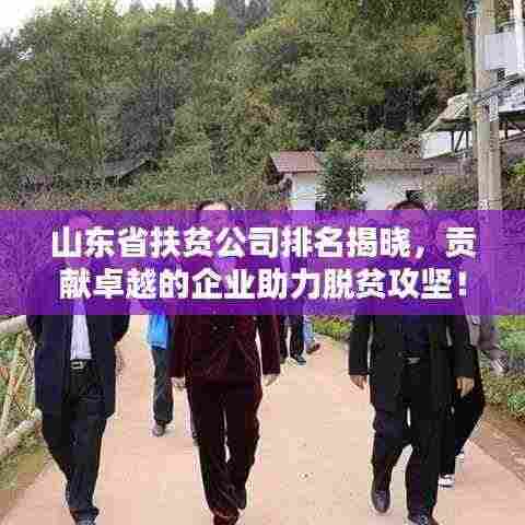 山东省扶贫公司排名揭晓，贡献卓越的企业助力脱贫攻坚！