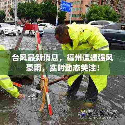 台风最新消息,福州遭遇强风豪雨,实时动态关注!
